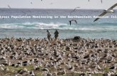 Albatross Population Monitoring in the Northwestern Hawaiian Islands Photo: Pete Leary.