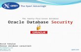 The twenty-four/seven database Oracle Database Security David Yahalom Senior database consultant davidy@xpert.com   .