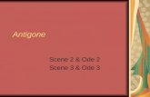 Antigone Scene 2 & Ode 2 Scene 3 & Ode 3. 1. Who has the sentry captured and brought before King Creon? Antigone, the King’s niece.
