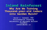 Inland Rainforest Why Are We Turning Thousand-year-old Cedars into Garden Mulch? David J. Connell, PhD Environmental Planning University of Northern British.