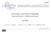 Lifelong Learning Programme Leonardo Da Vinci – Multilateral project Call 2008 Project number – 142491-LLP-1-2008-1-IT-LEONARDO-LMP.