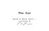 The Ear Head & Neck Unit – Lecture 8 د. حيدر جليل الأعسم.
