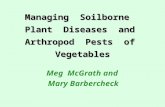 Managing Soilborne Plant Diseases and Arthropod Pests of Vegetables Meg McGrath and Mary Barbercheck.