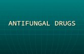 ANTIFUNGAL DRUGS. Infectious diseases caused by fungi are called mycoses. They are often chronic in nature. Infectious diseases caused by fungi are called.
