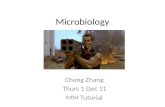 Microbiology Cheng Zhang Thurs 1 Dec 11 MM Tutorial.