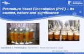 Apostolos G. Panteloglou, Katherine A. Smart and David J. Cook 23 January 2013 Premature Yeast Flocculation (PYF) – its causes, nature and significance.
