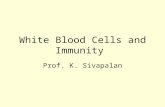 White Blood Cells and Immunity Prof. K. Sivapalan.