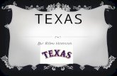 TEXAS By: Riley Hanson. STATE CAPITAL Austin The Lone Star StateDec 29, 1845/ 28 th NICKNAME AND STATE HOOD The state nickname Statehood.