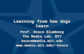 Learning from how dogs learn Prof. Bruce Blumberg The Media Lab, MIT bruce@media.mit.edubruce Prof. Bruce Blumberg The Media Lab, MIT.
