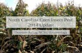 North Carolina Corn Insect Pest 2014 Update Dominic Reisig NCSU Entomology.