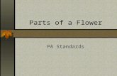 Parts of a Flower PA Standards. 4- Parts of a Flower a) Stamens 1- Male reproductive organs Stamens.