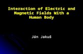 Interaction of Electric and Magnetic Fields With a Human Body Ján Jakuš.