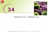 Adaptive Immunity 1 34 Copyright © McGraw-Hill Global Education Holdings, LLC. Permission required for reproduction or display.