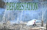 WHAT IS DEFORESTATION? Deforestation is clearing Earth's forests on a massive scale, often resulting in damage to the quality of the land.