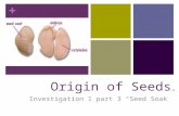 + Origin of Seeds Investigation 1 part 3 “Seed Soak”