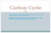 Carbon Cycle HTTP:// CARBONCYCLE/PREVIEW.WEML HTTP:// IONS/CARBON_CYCLE_2.SWF.