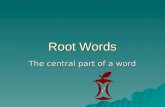Root Words The central part of a word. Structure  Prefix-root-suffix –un-success-ful  Prefix-root –Re-do  Root-suffix –Happi-ness.
