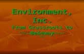 Environment, Inc. From Grassroots to Beltway Christopher J. Bosso 2005.