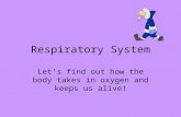 Respiratory System Let’s find out how the body takes in oxygen and keeps us alive!