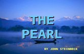 THE PEARL BY JOHN STEINBECK CHAPTER 1 KINO’S SON COYOTITO IS BITTEN BY A SCORPION.