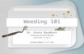 Weeding 101 Dr. Donna Baumbach University of Central Florida (retired to NC!) baumbach@mail.ucf.edu.