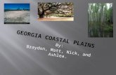 By: Braydon, Matt, Nick, and Ashlea.  Georgia Coastal Plains- Slide 1  Table of Contents- Slide 2  The Wet Lands (Okefenokee)- Slide 3  Coastal Plains.