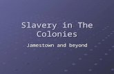 Slavery in The Colonies Jamestown and beyond. Colonial Trade By the mid 1700s, the American colonies had developed a diverse economy, supplying a range.