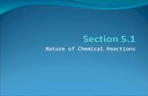 Nature of Chemical Reactions. Chapter 5 Chemical Reactions Chapter Preview: 5.1 The Nature of Chemical Reactions Chemical Reactions Change Substances.