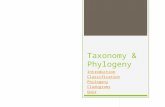 Taxonomy & Phylogeny Introduction Classification Phylogeny Cladograms Quiz.