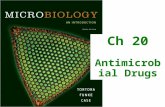 Ch 20 Antimicrobial Drugs. SLOs Describe the history of chemotherapy. Name the microbes that produce the most antibiotics. Describe problems of chemo-