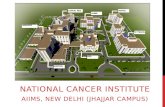 NATIONAL CANCER INSTITUTE AIIMS, NEW DELHI (JHAJJAR CAMPUS)