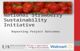 National Strawberry Sustainability Initiative Reporting Project Outcomes.