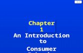 1-1 Chapter 1 An Introduction to Consumer Behavior.