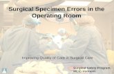 Surgical Specimen Errors in the Operating Room Improving Quality of Care in Surgical Care Surgical Safety Program MCIC-Vermont.