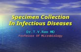 Specimen Collection In Infectious Diseases Dr.T.V.Rao MD Professor Of Microbiology.