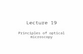 Lecture 19 Principles of optical microscopy. Illumination conjugate planes are shown in red; an image of the lamp filament is in focus at these planes.