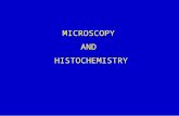 MICROSCOPY AND HISTOCHEMISTRY. HISTOLOGICAL TECHNIQUE A. Histology involves the preparation of tissues for examination with a microscope. 1. Basic methods.