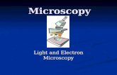 Microscopy Light and Electron Microscopy. The History Many people experimented with making microscopes Many people experimented with making microscopes.