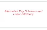 1 Alternative Pay Schemes and Labor Efficiency. 2 Fringe benefits Total compensation of employees = wages + fringe benefits Fringe benefits = public programs(like.