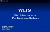 WITS Web Infrastructure For Treatment Systems FEI.com, Inc. Richard Thoreson Rodney Conrad Chris White.