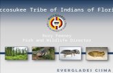 Miccosukee Tribe of Indians of Florida Rory Feeney Fish and Wildlife Director.