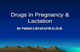 Drugs in Pregnancy & Lactation Dr Fahmi.I.El-Uri,F.R.C.O.G.