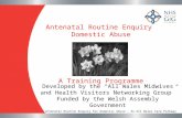 Antenatal Routine Enquiry Domestic Abuse Antenatal Routine Enquiry for Domestic Abuse - An All Wales Care Pathway A Training Programme Developed by the.