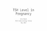 TSH Level in Pregnancy Gita Majdi PGY4 Endocrinology Fellow May 2014.