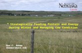 * Strategically Feeding Protein and Energy During Winter and Managing Cow Condition Don C. Adams dadams1@unl.edu.