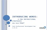 I NTRODUCING WORDS : A FEW INSTRUCTIONAL STRATEGIES Why? What? How? York Professional Development Day 1.17.11.