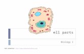 Cell parts Biology I Cell animation: ://.