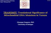 TRANSMIT: Translational Significance of Mitochondrial DNA Mutations in Tumors Giuseppe Gasparre, PhD University of Bologna Mediterranean School of Oncology.