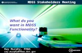 What do you want in MDSS Functionality? Ray Murphy, FHWA ray.murphy@fhwa.dot.gov October 20, 2005 MDSS Stakeholders Meeting.