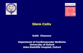 Stem Cells Keith Channon Department of Cardiovascular Medicine University of Oxford John Radcliffe Hospital, Oxford.